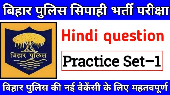 Bihar Police Hindi Question pdf | Bihar Police constable Hindi set