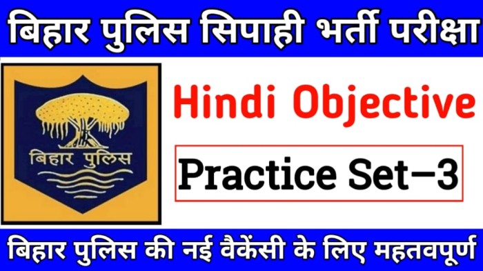 bihar police hindi question answer free download | bihar police hindi