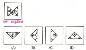 SSC GD Model Practice Set in Hindi